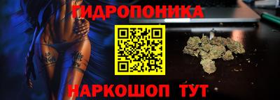 дмт Можга