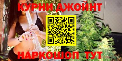 дмт Можга