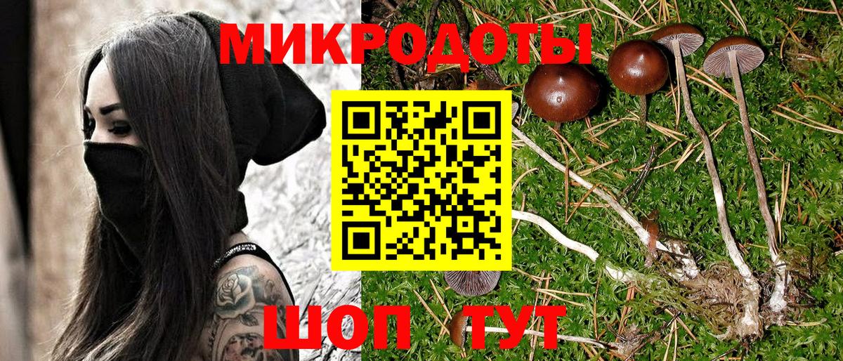 Урус-Мартан  Галлюциногенные грибы MAGIC MUSHROOMS  Вход с VPN 