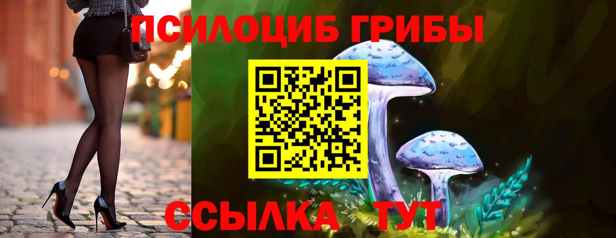Псилоцибиновые грибы мухоморы Урус-Мартан